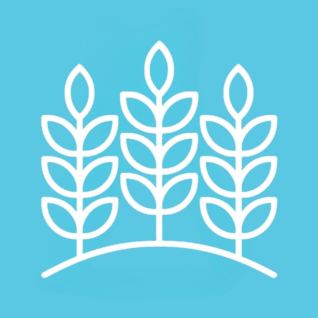 berufsfeld-icon